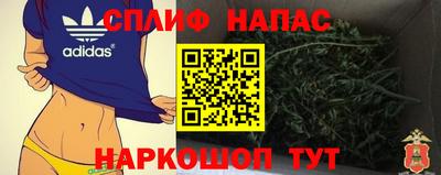 тгк Можга