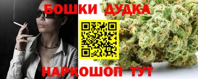 индика Можайск